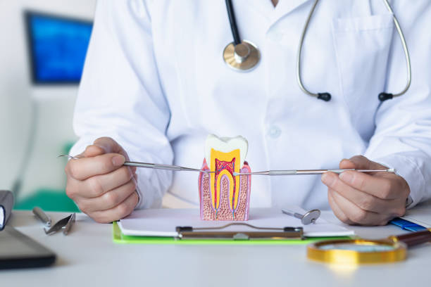 Best Broken or Cracked Tooth Emergency Dentist in Schaumburg, IL
